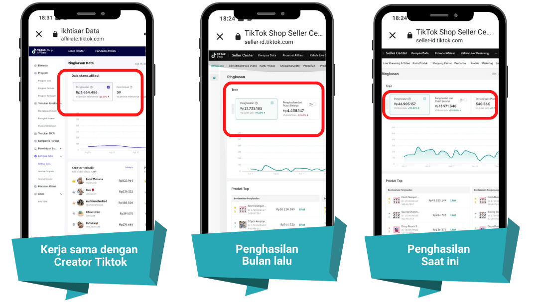 portfolio-mentor-fitri
